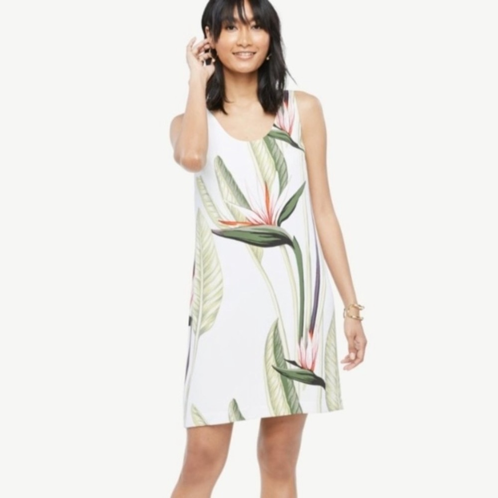 NWT Ann Taylor size 6 birds of paradise dress